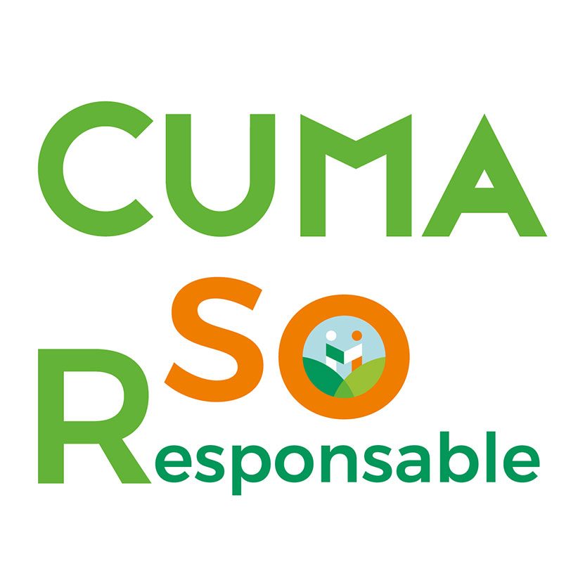 log RSO Cuma So Responsable